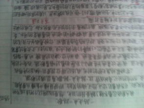 窗外作文800字初二寫(xiě)景開(kāi)頭