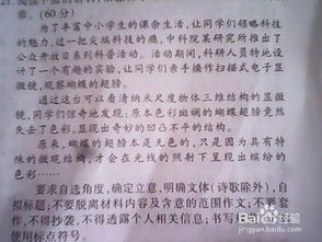關(guān)于最的作文開(kāi)頭結尾怎么寫(xiě)