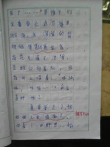 第六單元語(yǔ)文下冊作文開(kāi)頭