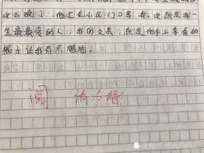 我的父親是一個好老師作文開頭結尾