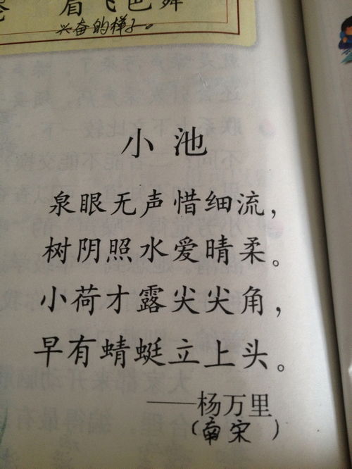 夏天的雨中風(fēng)景600字作文開頭