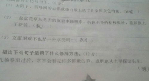四級語文根據(jù)句子開頭寫作文