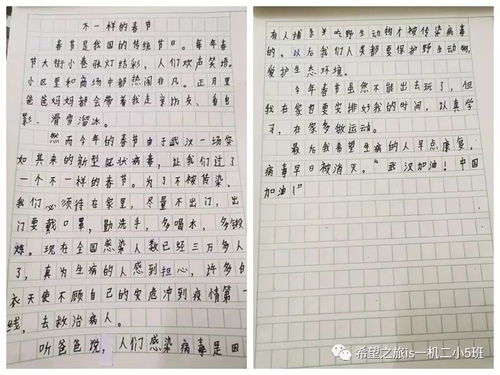 作文,抗擊,肺炎,開(kāi)頭