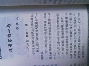 第一次開頭作文600字作文