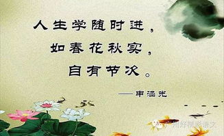 描寫(xiě)美女的作文開(kāi)頭