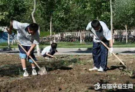 衛生所社會(huì )實(shí)踐報告范文(衛生所社會(huì )實(shí)踐報告范文)