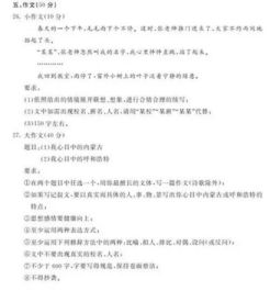 給你,我來(lái),新疆,作文