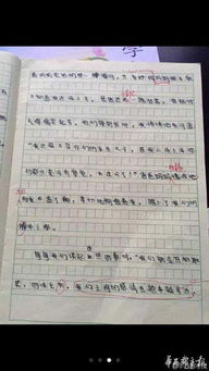 作文,開(kāi)頭,忘記了