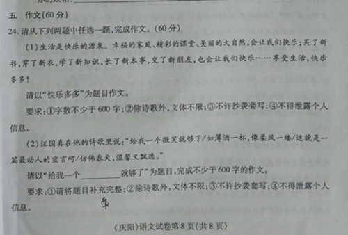 那天我特別快樂(lè)開(kāi)頭作文