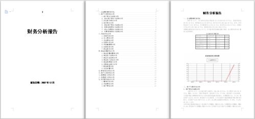 財務(wù)分析報告論文(財務(wù)分析報告論文)