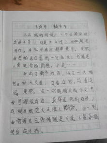 校園里的啟示作文600字作文開(kāi)頭