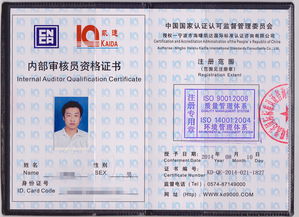 ISO 9000內部審核技巧(ISO9000內審員的審核技巧)