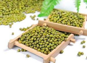 綠豆長(cháng)葉了作文開(kāi)頭