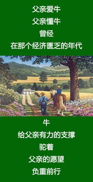 那一刻我讀懂了背后的美麗作文開頭結(jié)尾