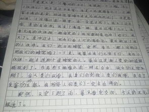 關(guān)于植物寫一個作文開頭結(jié)尾