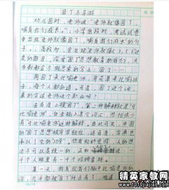 想念春節的作文開(kāi)頭