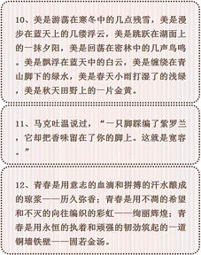 網(wǎng)紅橋作文開(kāi)頭