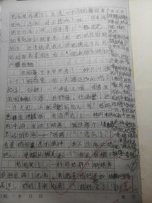 寫(xiě)愛(ài)的作文風(fēng)景開(kāi)頭
