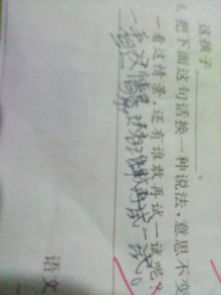 春節的作文開(kāi)頭100字