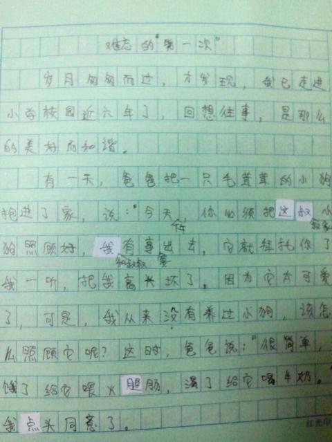 童的趣事500字初二作文開(kāi)頭結尾
