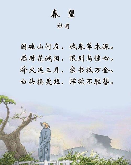 關(guān)于杜甫的詩(shī)的作文開(kāi)頭