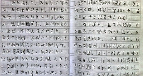 人心與眼睛作文開(kāi)頭