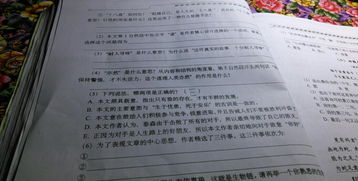 作文你好對手開頭