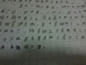 帶她回家作文開(kāi)頭