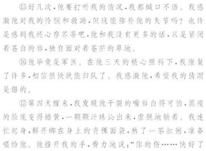 含詩(shī)句的開(kāi)頭結尾的作文
