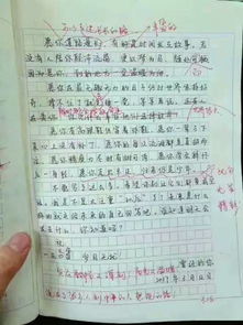 關(guān)于初一新學(xué)校新老師的作文開(kāi)頭結尾