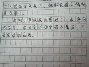 好的作文開(kāi)頭和結尾-百度