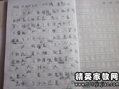 最美植物作文開(kāi)頭結尾