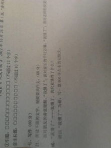 鄉(xiāng)情作文開頭800字作文