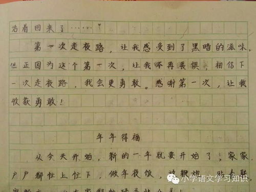 這是真難忘作文開(kāi)頭