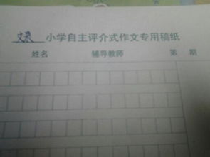 放風(fēng)箏勵(lì)志開頭作文500字