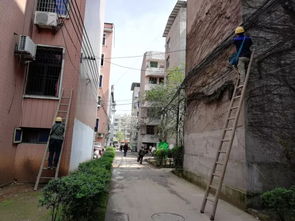 創(chuàng  )衛生城市建大美廣豐作文開(kāi)頭