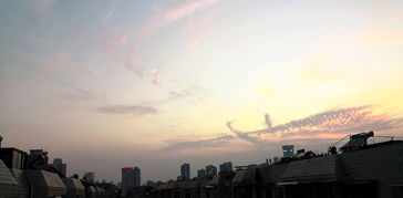 去外面玩的開(kāi)頭作文