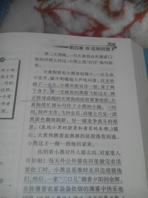 我想養的小動(dòng)物800字作文開(kāi)頭