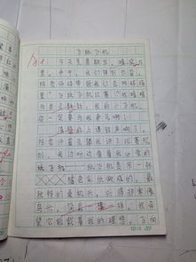 怎樣寫(xiě)難忘的事作文的開(kāi)頭