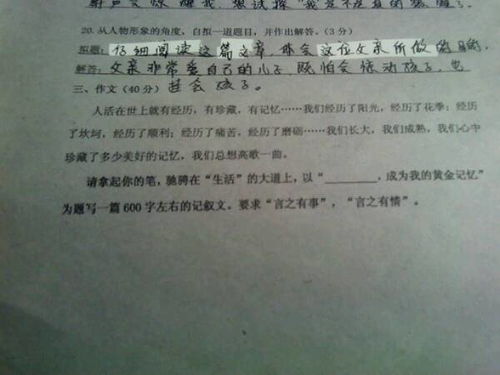 初一我不在任性作文600字作文開頭