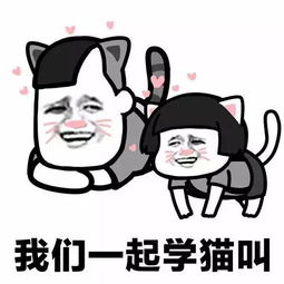 好笑有趣的作文開(kāi)頭