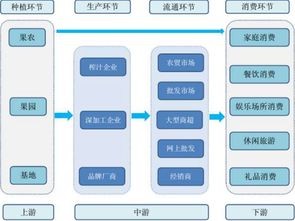 蘋果醋市場調(diào)研報告(市場的調(diào)研報告)