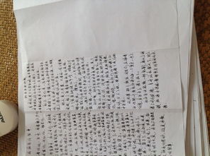 陪伴是一種幸福800字作文開(kāi)頭