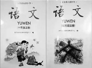 西師版650字語文書封面作文開頭
