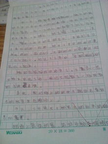 以聲音開(kāi)頭的運動(dòng)會(huì )作文