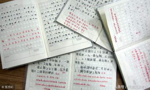暑假作文寫(xiě)觀(guān)后感開(kāi)頭和結尾