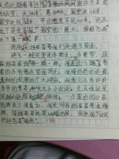 暑假開(kāi)頭初2作文200字