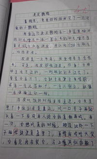 心愛(ài)之物作文400字的開(kāi)頭