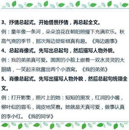 關(guān)于花老師作文開(kāi)頭結尾怎么寫(xiě)