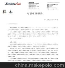 專(zhuān)項審計報告范文(專(zhuān)項審計報告范文)
